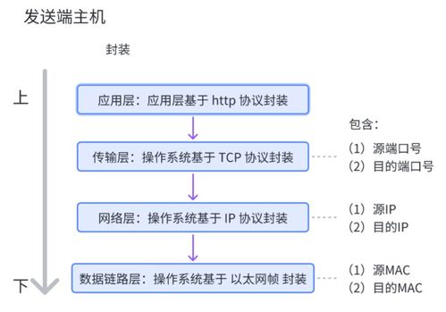 网络通信基石 核心设备、关键技术及技术服务全景解析